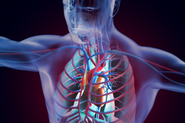 歯周病による全身への影響