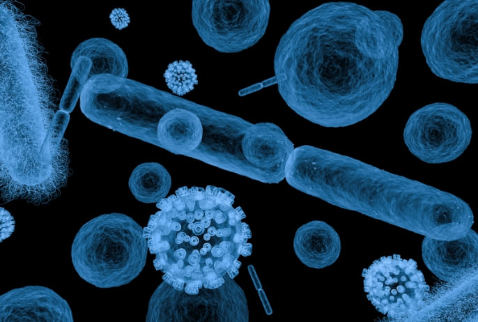 歯周病の原因菌を特定する「細菌検査」