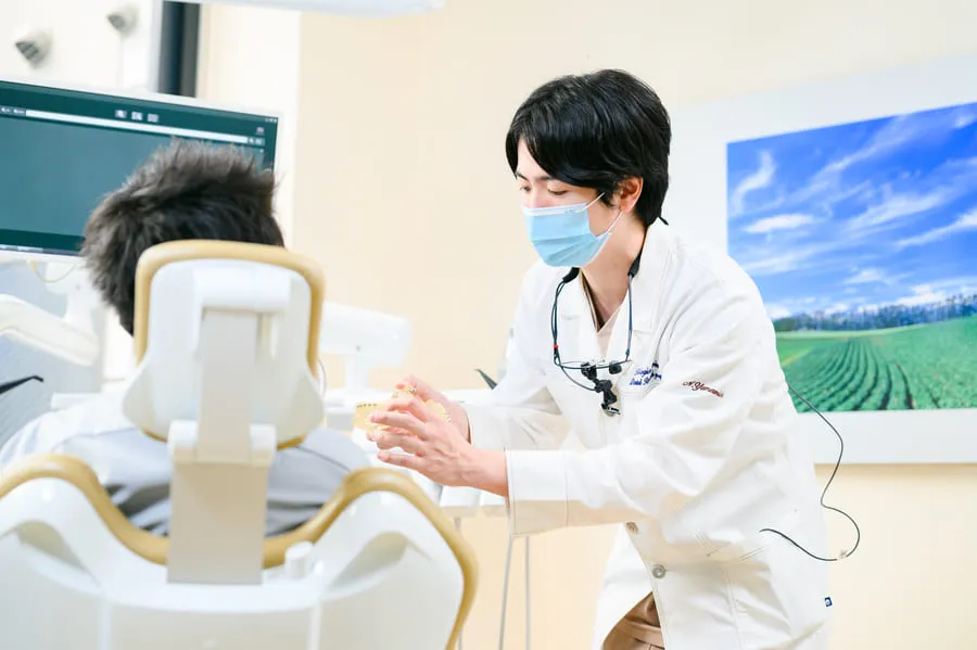 主な執筆・発表実績