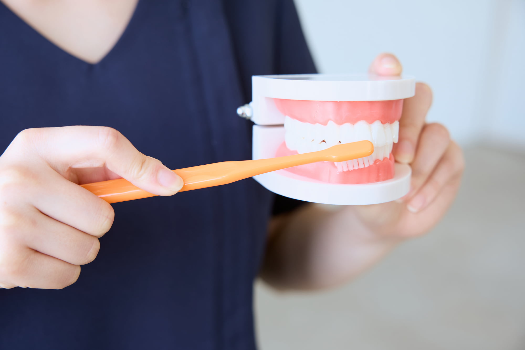 インプラント治療後の歯磨きの仕方を指導する歯科医